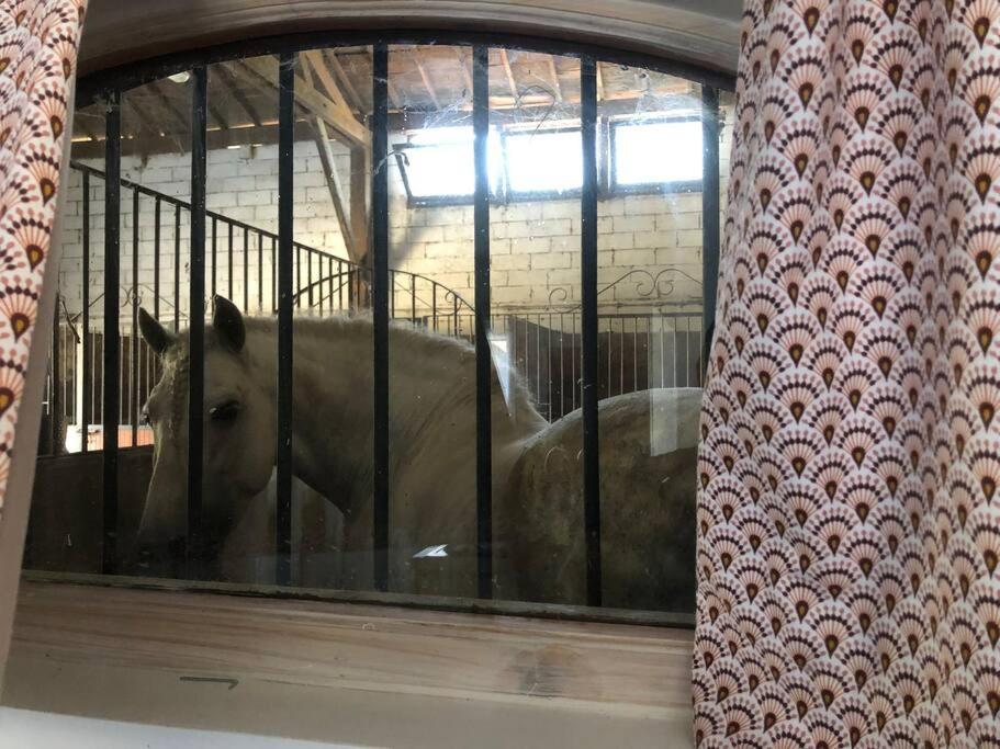Logement Insolite Au Coeur D'Une Ecurie Αρλ Εξωτερικό φωτογραφία